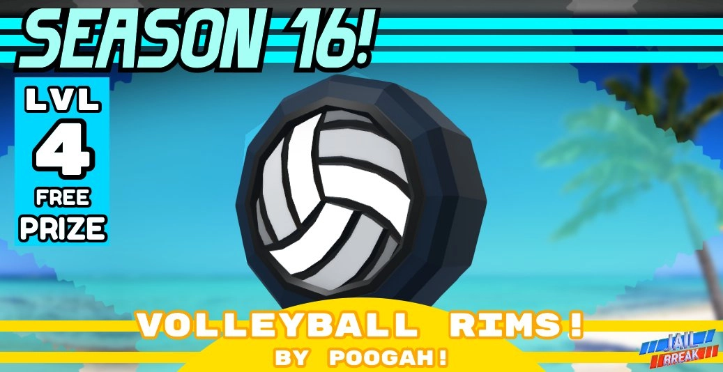 Volleyball Rim